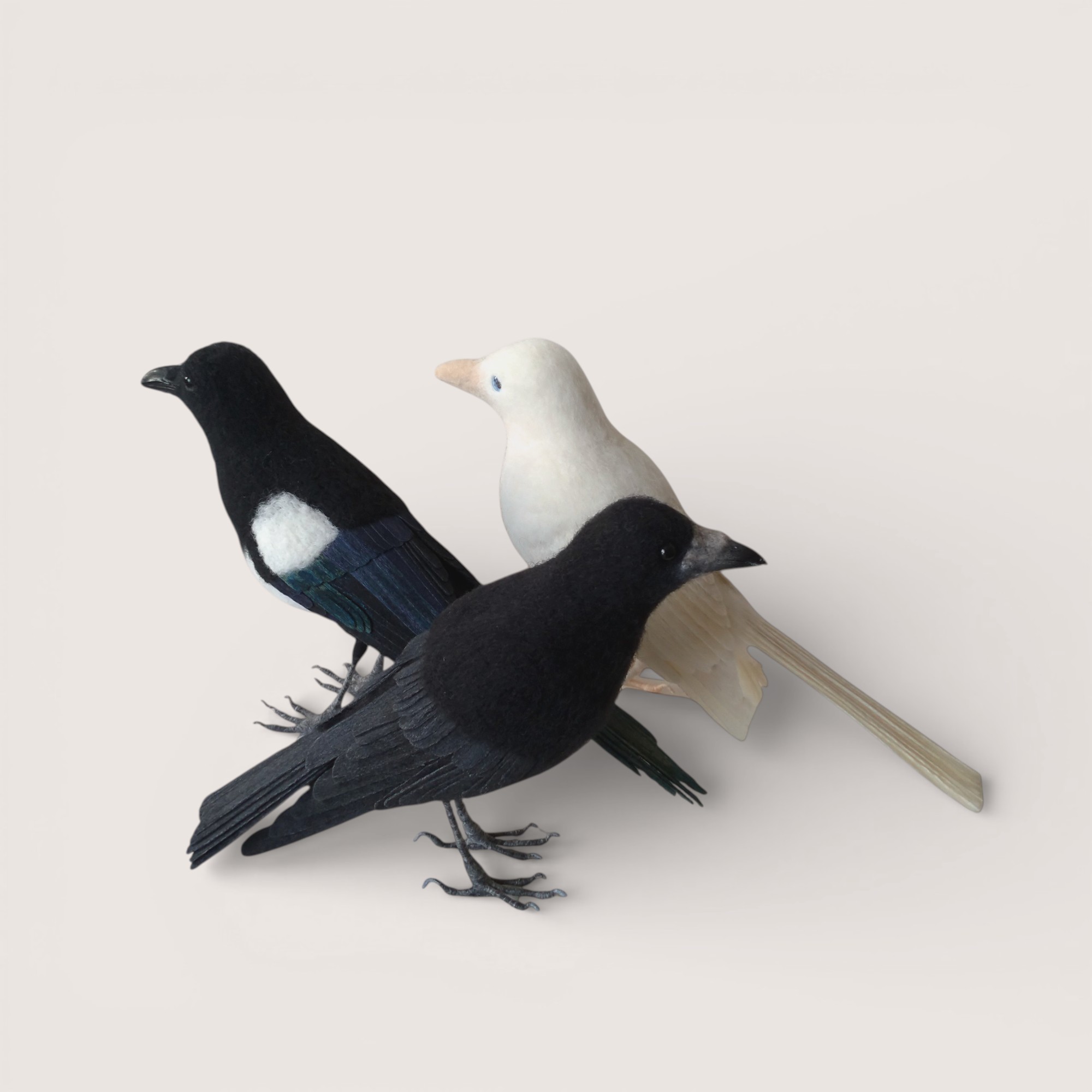 Handmade needle-felted bird sculptures: white raven, magpie and rook by Grey Wren Studio.